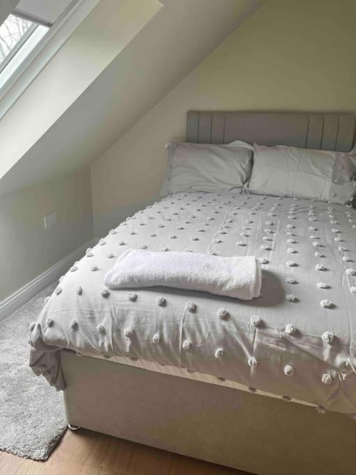 Mid Antrim Modern Apartment Newferry Luaran gambar